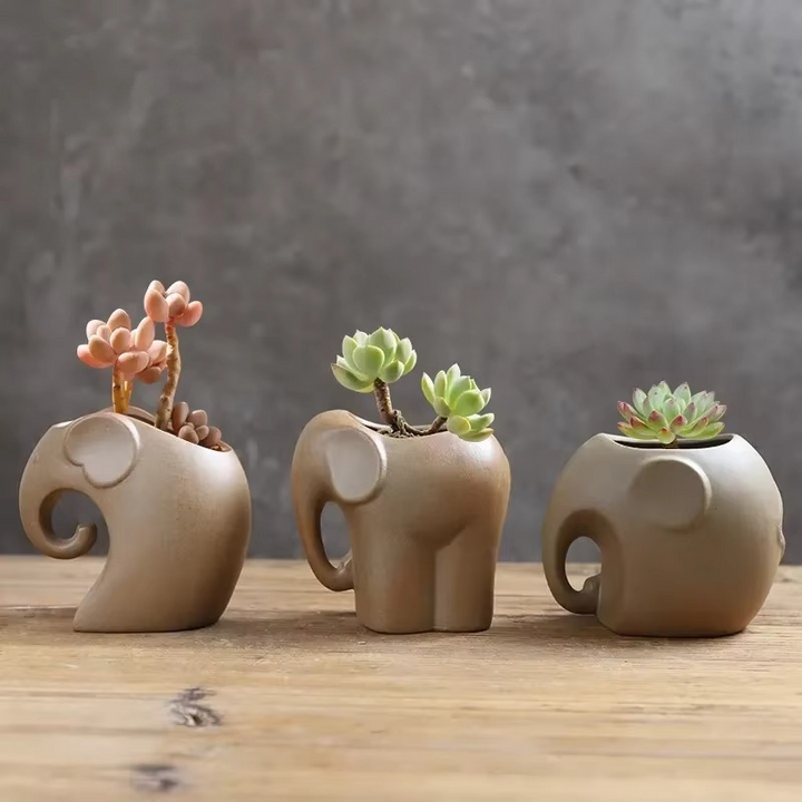 Skanto | Håndlaget Dyre Keramikk Succulent Potter, Små Pustende Skrivebordsplantere