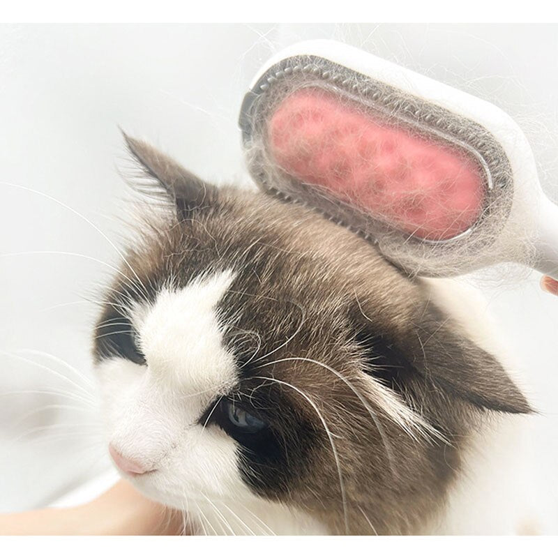 Skanto | Pet Grooming Gravity Brush