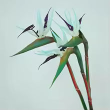 Skanto | Floriva 3-delt sett Künstig Strelitzia | Paradisfuglblomster | 24,5 cm Lange stilker | Dekorasjon for hjemmet, kontoret & arrangementer