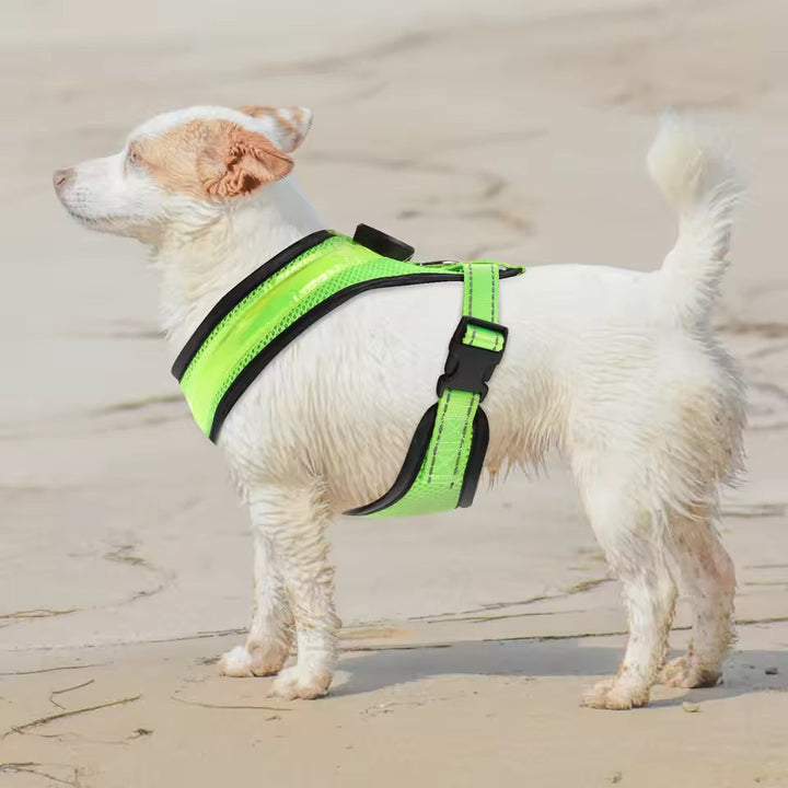 LED Hundesele USB oppladbar og justerbar Skanto