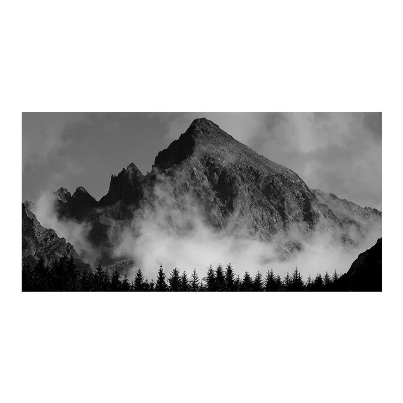 Northern Landscapes Skog Fjell Villmark Wall Art Fine Art Canvas Prints Black White Posters For Living Room Modern Home Office Decor | Skanto