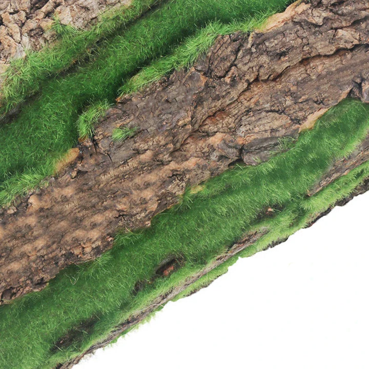 Skanto | DIY Veggdekorasjon Grønn Plante Bark
