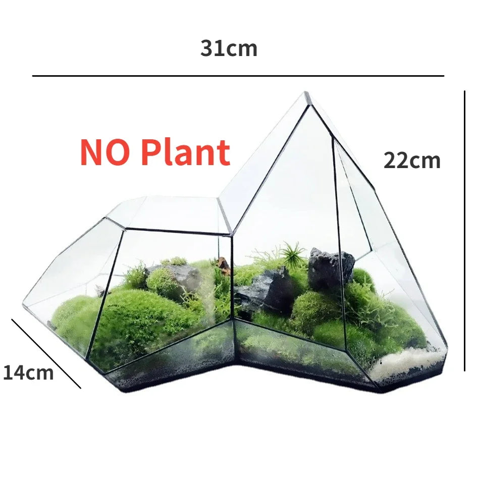 Skanto | Geometrisk Glass Mose Plante Terrarium Vase