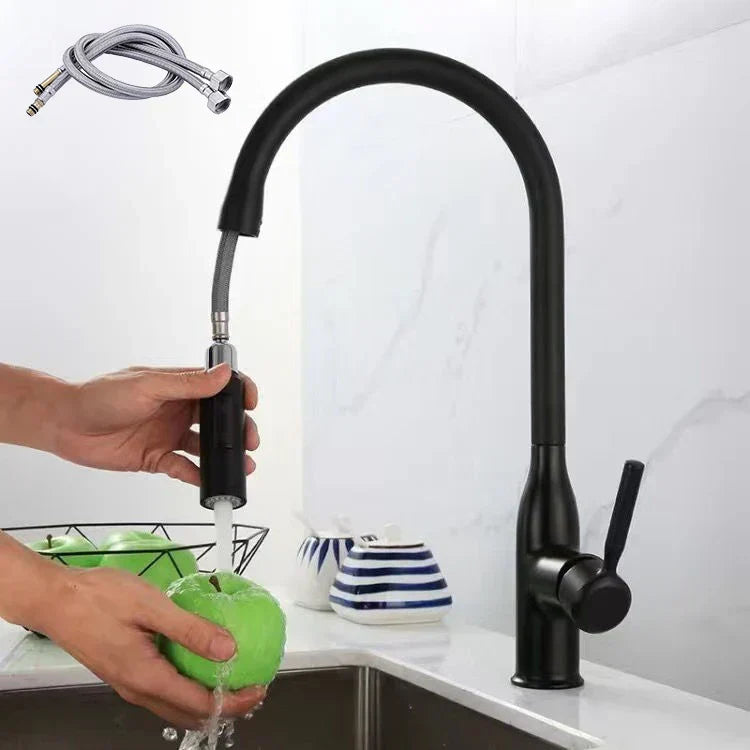 AquaStream Luxe – Justerbar Kjøkkenkran med Hånddusj Skanto