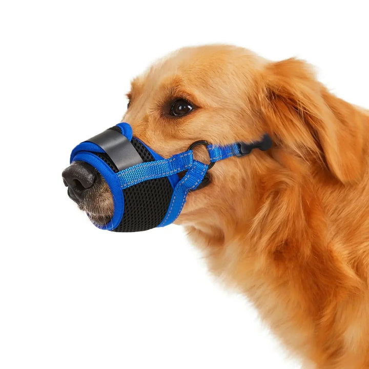 Skanto | Pustende Hundemuzzle