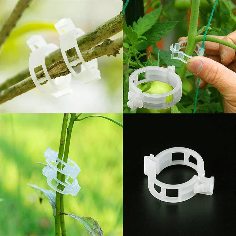 Plastklemmer for plante støtte | Grafting og fikseringsverktøy! | Skanto