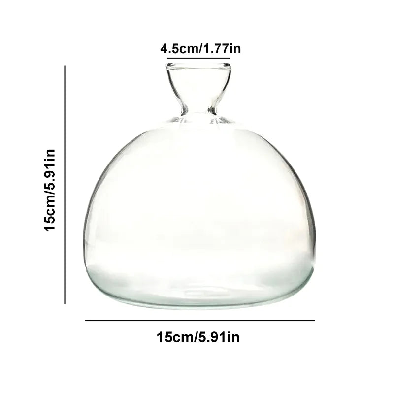 Skanto | Avokado Vase Glass | Transparent Spireglass | Plantekonteiner for Avokado Dyrking | 10–15 cm