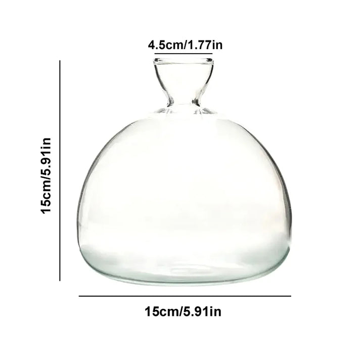 Skanto | Avokado Vase Glass | Transparent Spireglass | Plantekonteiner for Avokado Dyrking | 10–15 cm