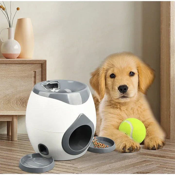 Interaktiv Snackball Dispenser for Hunder Skanto
