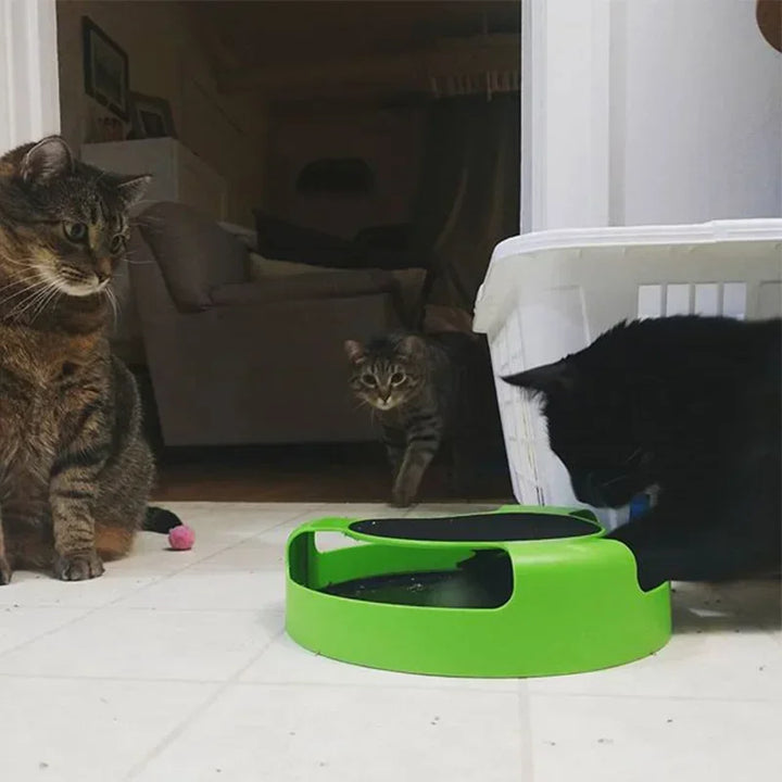 Interaktiv katt leketøy med roterende mus og kloreområde Skanto