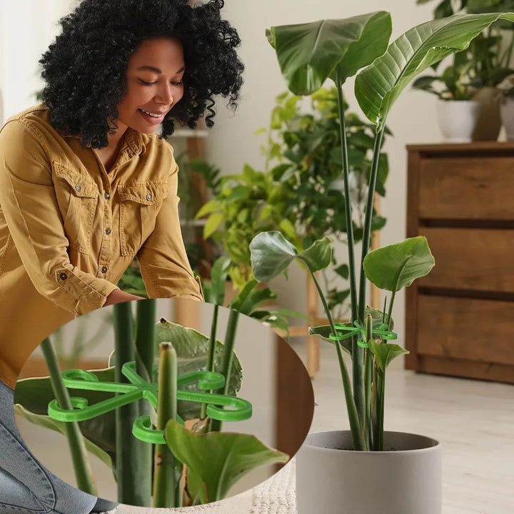 Skanto | Plante Stengel Støtte Ramme