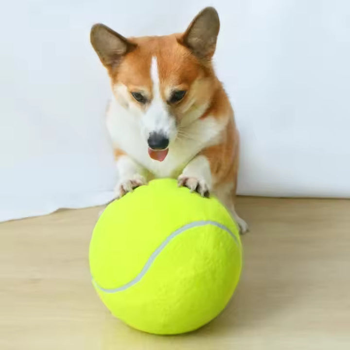 Ekstra stor tennisball for hunder Skanto