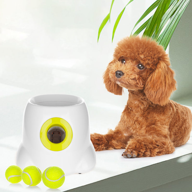 PlayBolt Automatisk Ball Kaster for Hunder | Skanto