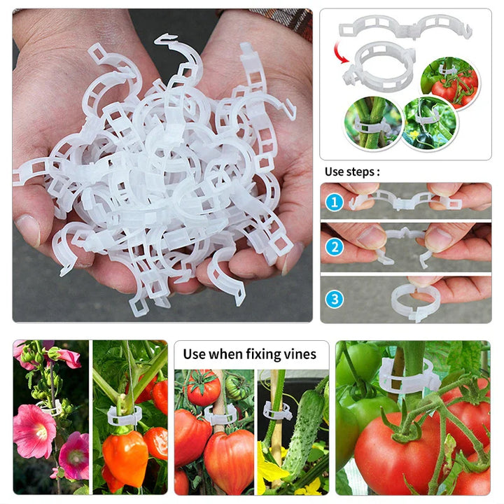 Plastklemmer for plante støtte | Grafting og fikseringsverktøy! | Skanto