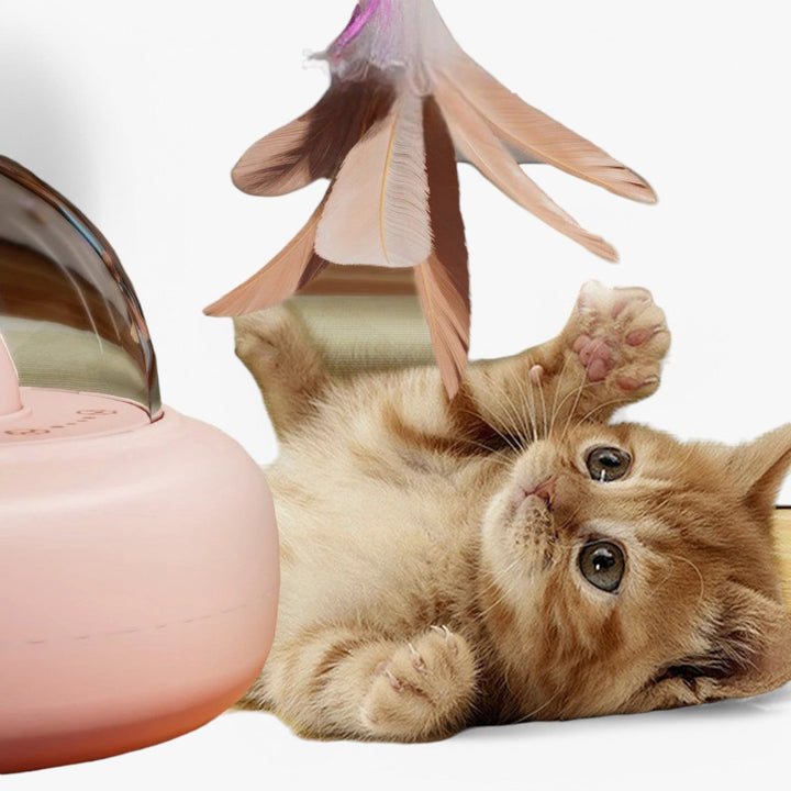 Smart Cat Laser "Hunting Light" med regnbuefunksjon og USB-lading | Skanto