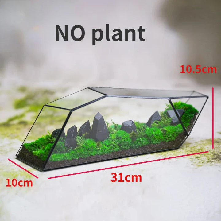 Geometrisk Glass Moss Plante Terrarium Vase | Skanto