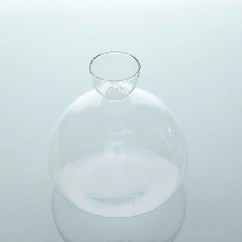 Skanto | Avokado Vase Glass | Transparent Spireglass | Plantekonteiner for Avokado Dyrking | 10–15 cm