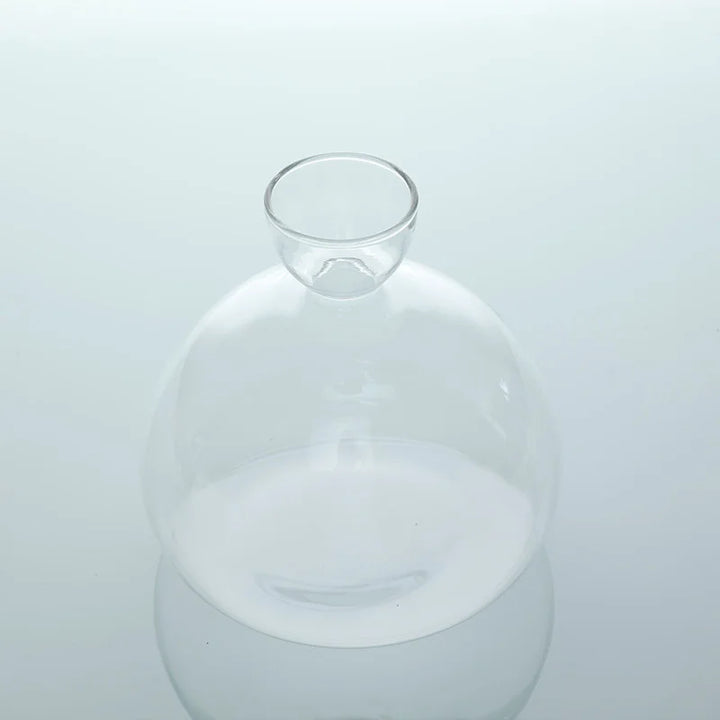 Skanto | Avokado Vase Glass | Transparent Spireglass | Plantekonteiner for Avokado Dyrking | 10–15 cm
