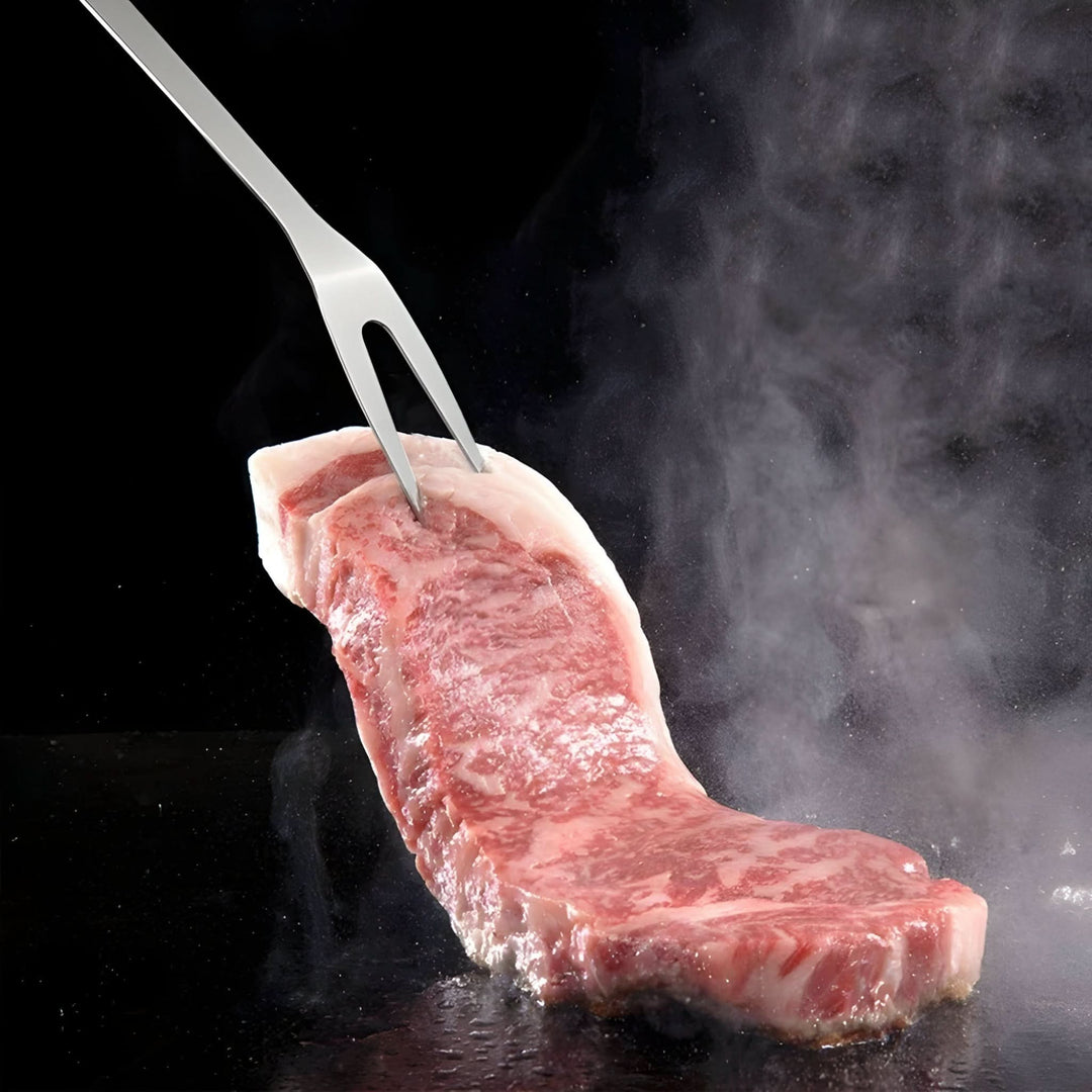 Skanto | Rustfritt Stål BBQ Grill Verktøy Sett med Bæreveske