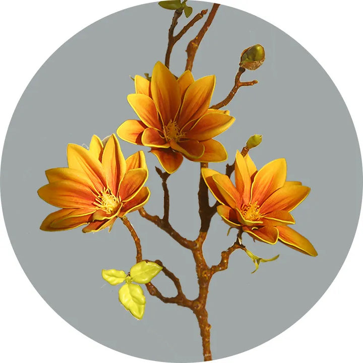 Skanto | Künstige Magnolia Blomster