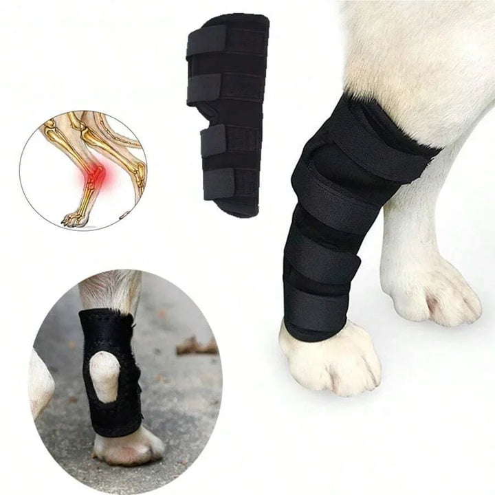 Felles støtte for hunder stabilisering & beskyttelse Skanto