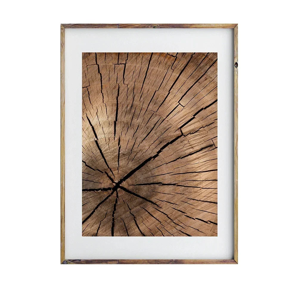 Natural Wood Tree Ring Wall Art Posters Canvas Fine Art Prints Pictures For Modern Farmhouse Living Room Scandinavian Style Home Decor | Skanto