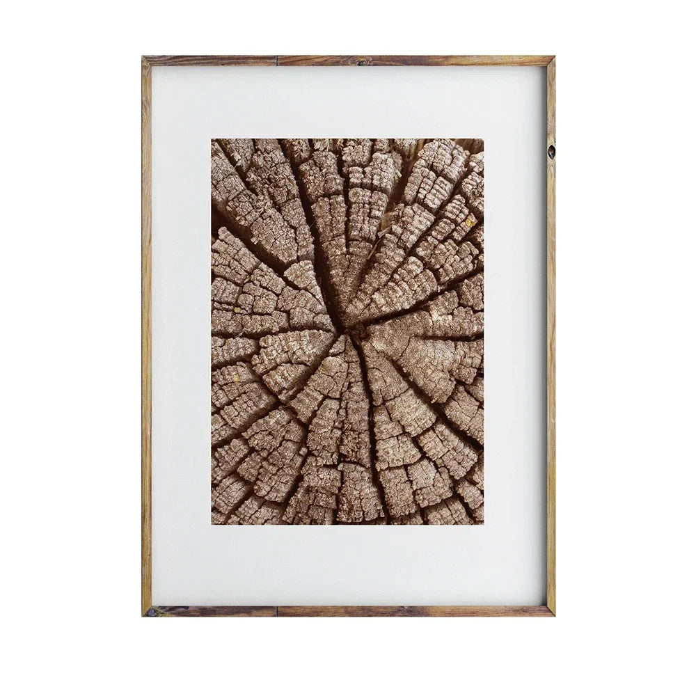 Natural Wood Tree Ring Wall Art Posters Canvas Fine Art Prints Pictures For Modern Farmhouse Living Room Scandinavian Style Home Decor | Skanto