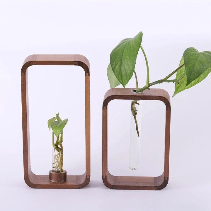 Hollow Plant Propagator Skanto