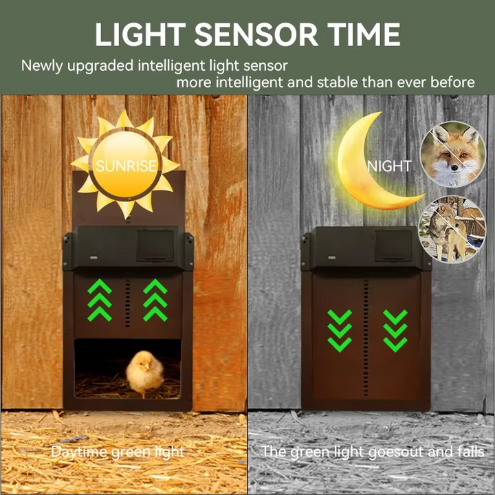 Intelligent automatisk Hühnerstalltüröffner med Lichtsensor og wasserdichtem Design