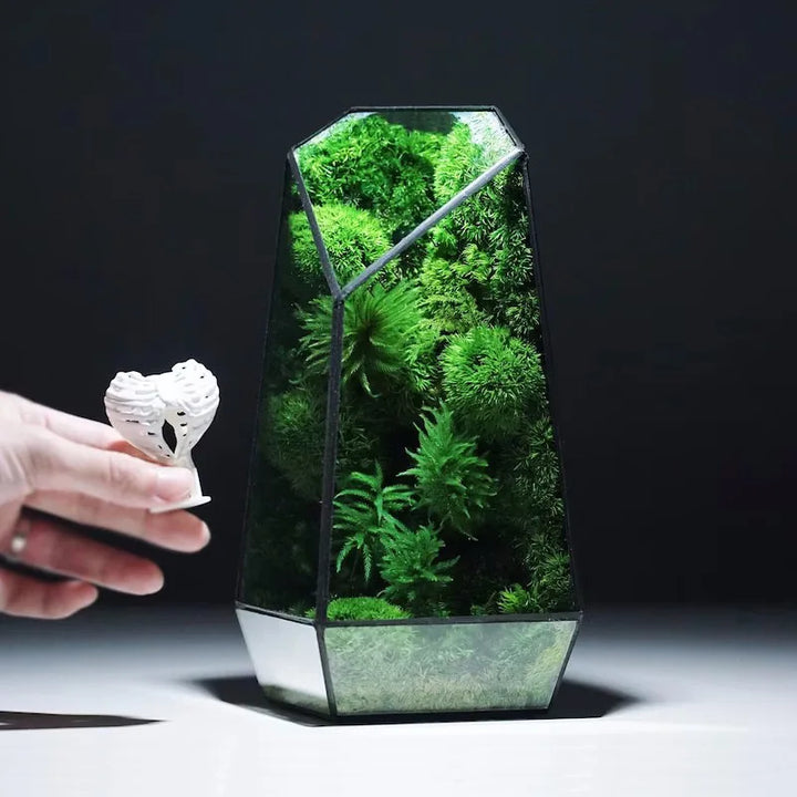 Moderne Geometriske Natur-Inspirerte Botaniske Terrarium | Skanto