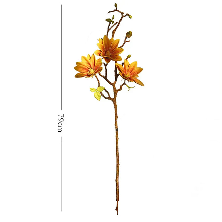 Skanto | Künstige Magnolia Blomster