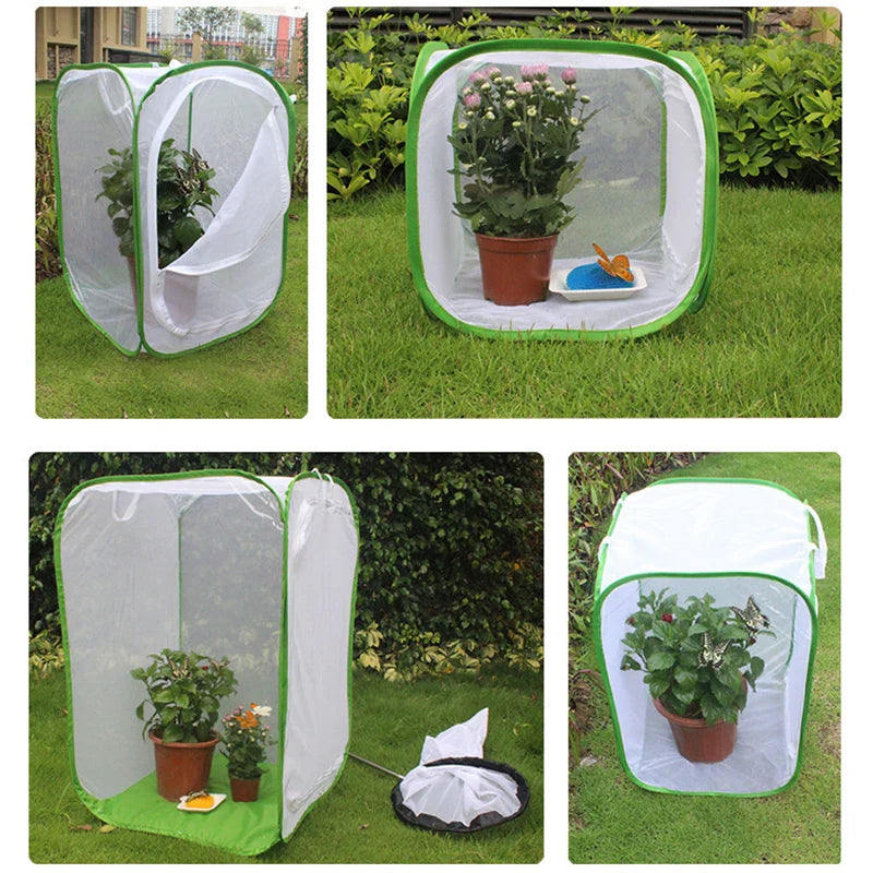 Norvo | Viventra Folding Insect Habitat | Avl & Observasjonsnett | Ramm i rustfritt stål | For sommerfugler, crickets & silkeormer