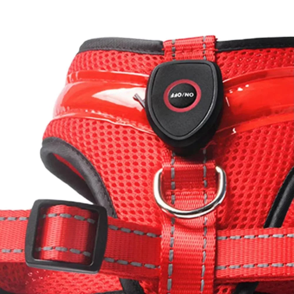 LED Hundesele USB oppladbar og justerbar Skanto