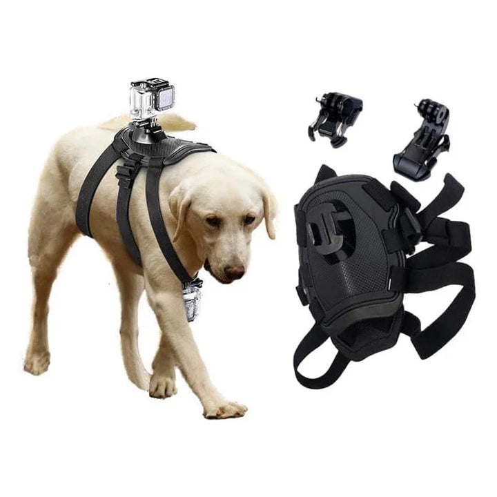 Action-Cam Hundesele med 360° Perspektiv Skanto