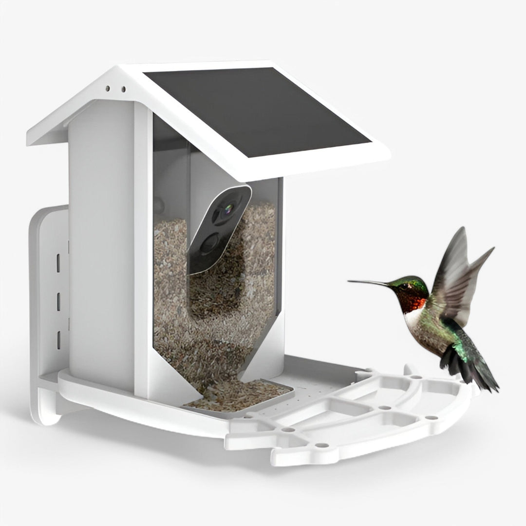 Skanto | Auxco | Smart Bird Feeder med 1080P HD Kamera, AI Fuglgjenkjenning & Solenergi Lading