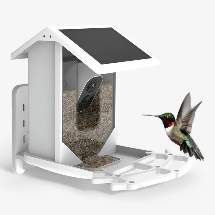 Skanto | Auxco | Smart Bird Feeder med 1080P HD Kamera, AI Fuglgjenkjenning & Solenergi Lading