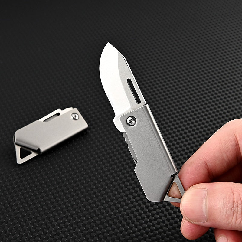 Foldbar Master Rustfritt Stål Overlevelses Mini Kniv | Skanto