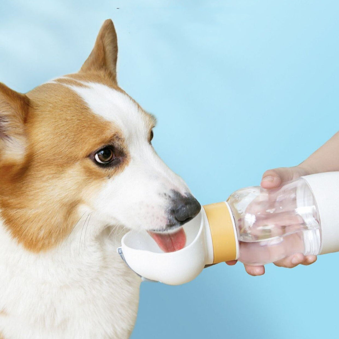 2in1 Smart Pet Portable Water Bottle Feeder | Skanto