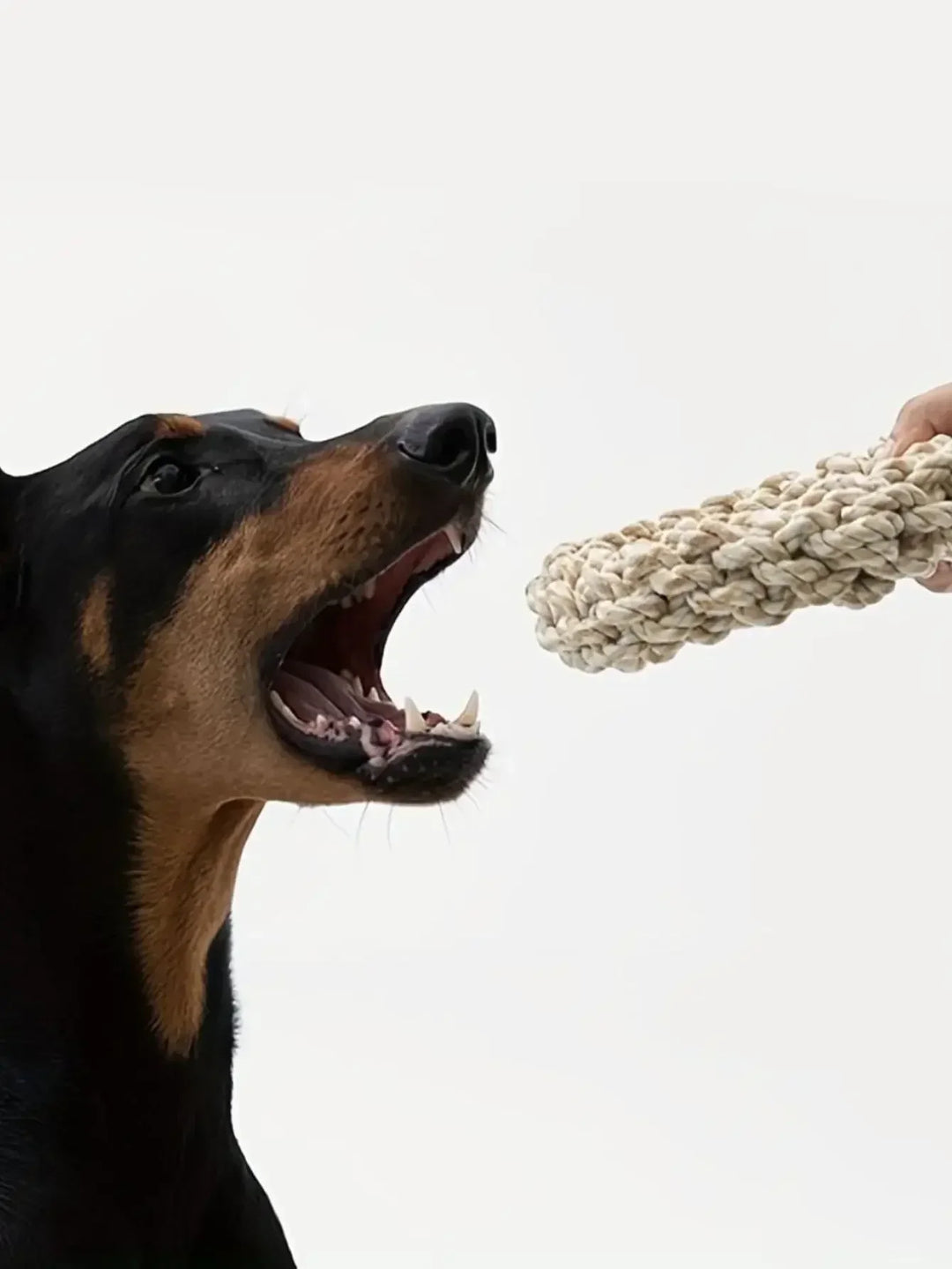 Robust bomull chew ring for hunder Skanto