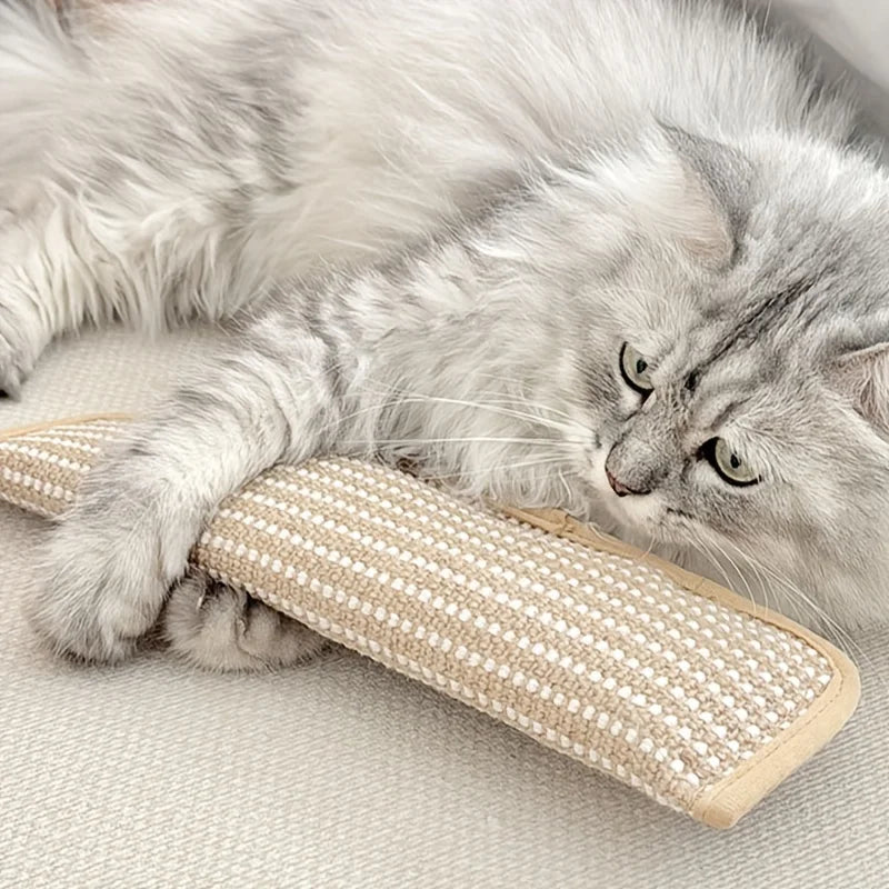 Klorepute for katter med kattmynt holdbar og robust Skanto