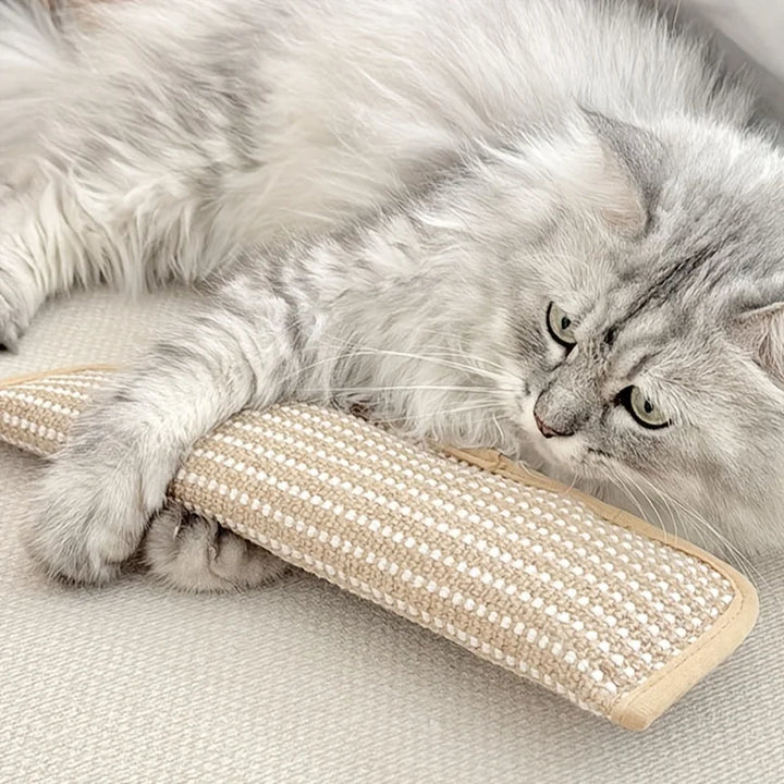 Klorepute for katter med kattmynt holdbar og robust Skanto