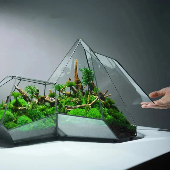Skanto | Geometrisk Glass Mose Plante Terrarium Vase
