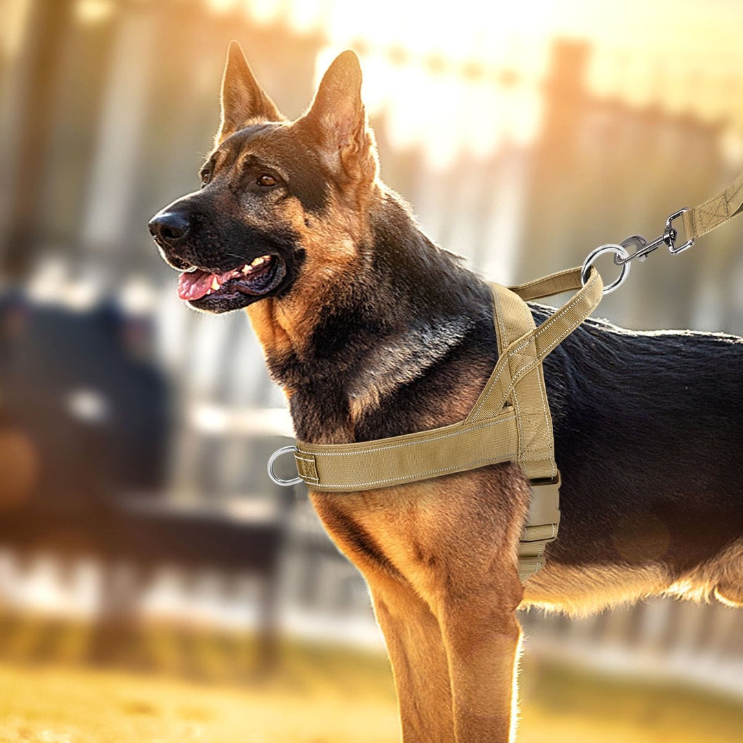 Skanto | Justerbar Refleks Hundeforbud med Håndtak for Alle Hunderaser