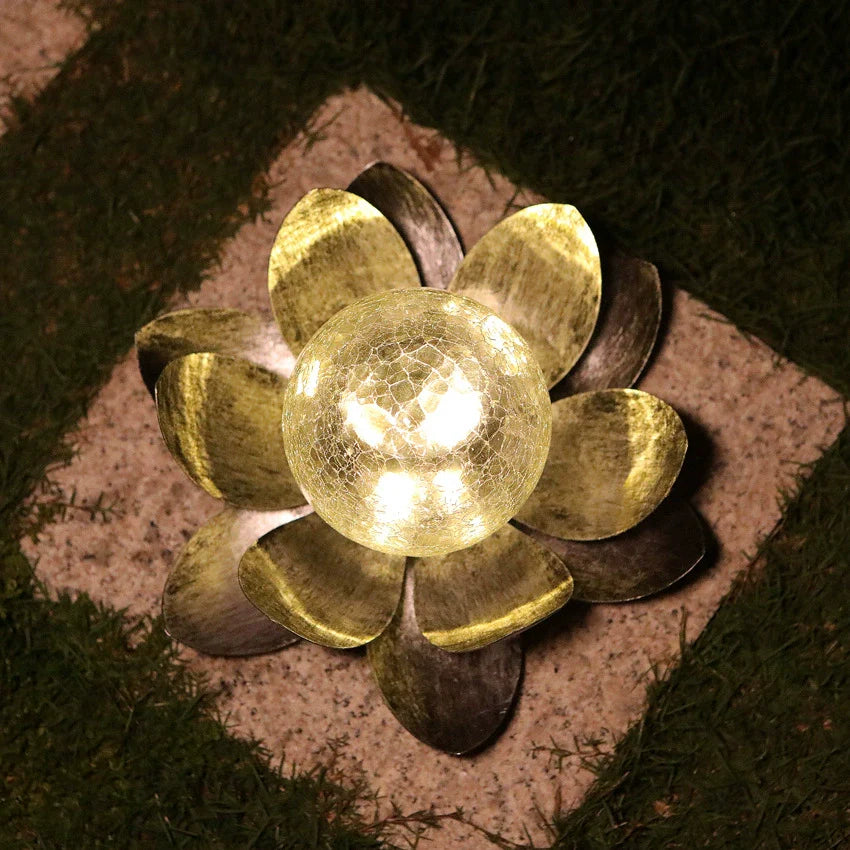 Solar Lotus Risshagenlys