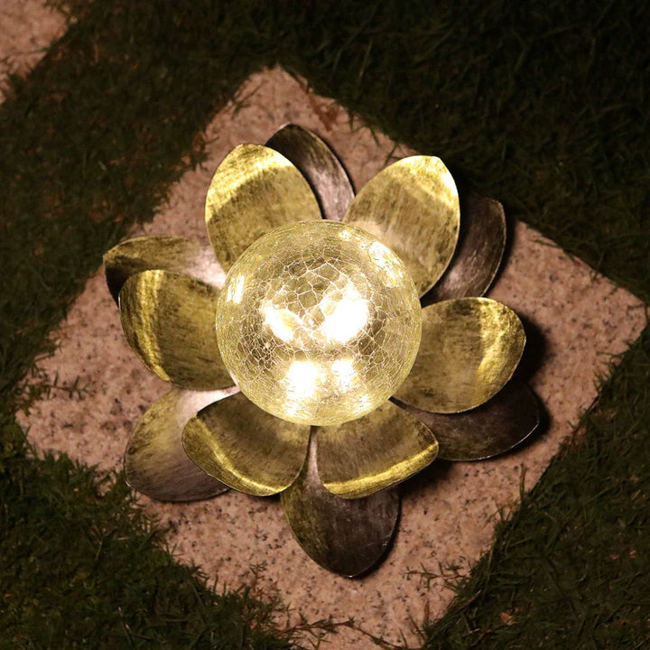 Solar Lotus Risshagenlys