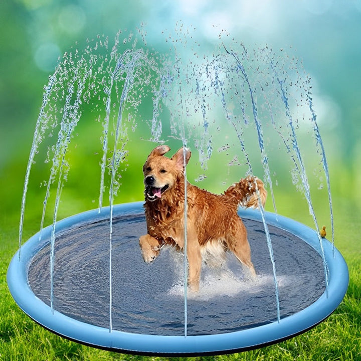 Skanto | Paws and Play Splash Pad