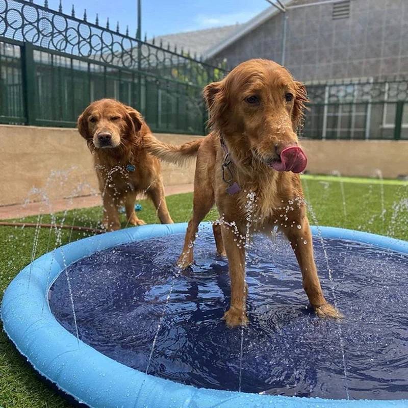 Skanto | Paws and Play Splash Pad