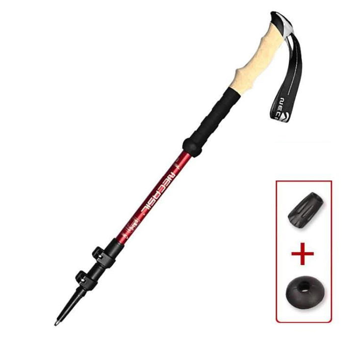 Skanto | Leddfriendly turstaver med antishock system laget av karbon