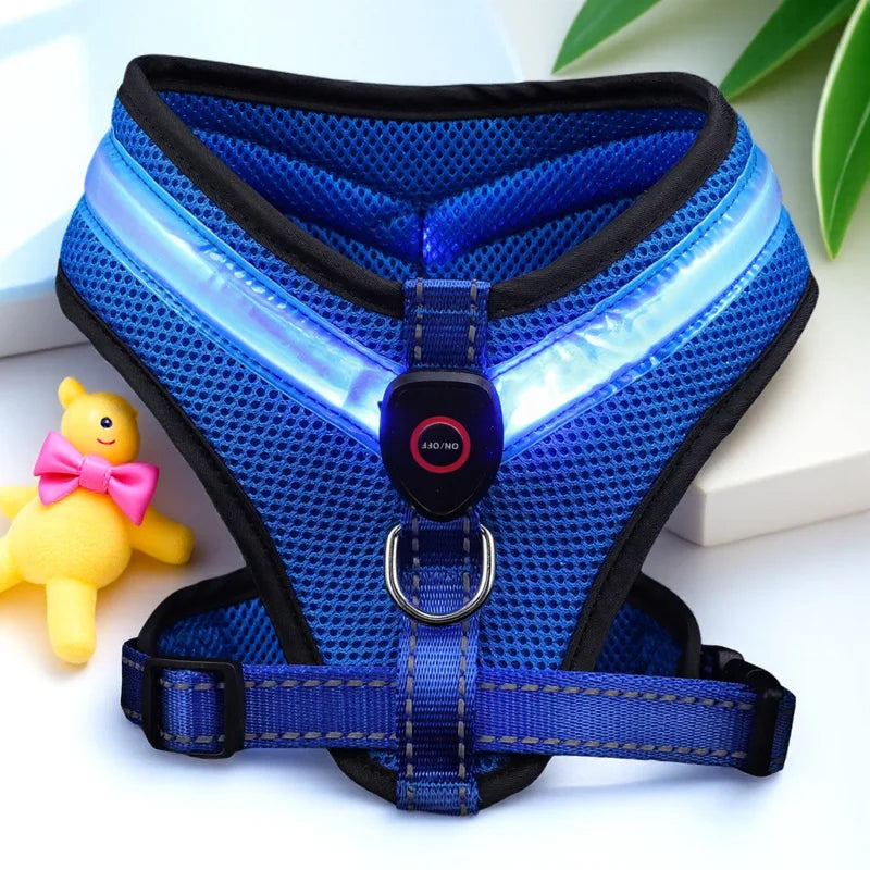 LED Hundesele USB oppladbar og justerbar Skanto
