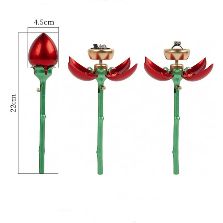 Skanto | Rose Ring Gaveboks